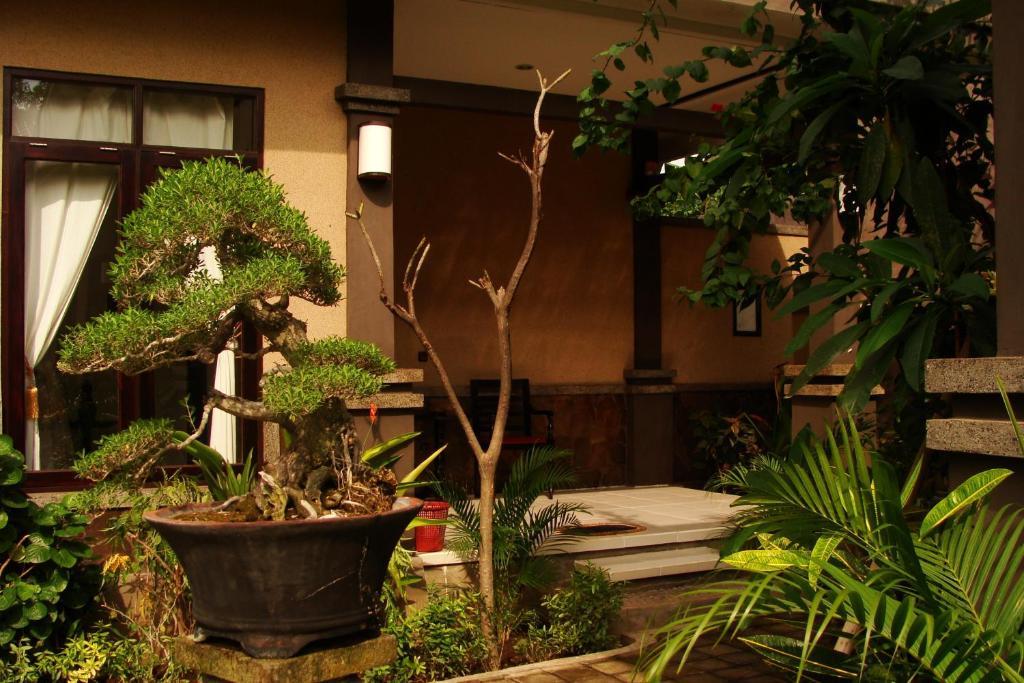 Doubleyou Homestay Pemuteran Εξωτερικό φωτογραφία